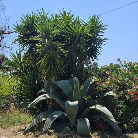 Virgin Garden 빌라