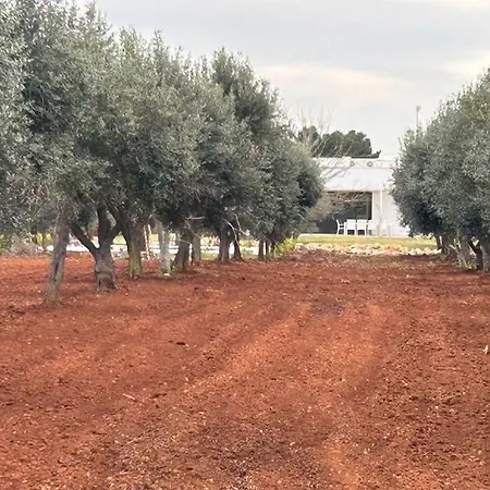 Virgin Garden Serranova