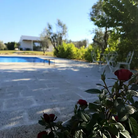 فيلة Virgin Garden Serranova
