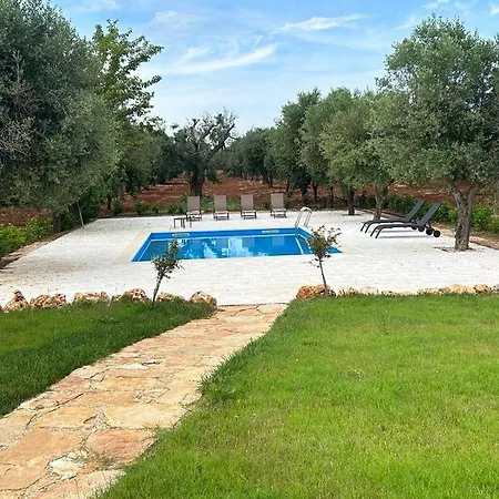 Virgin Garden *